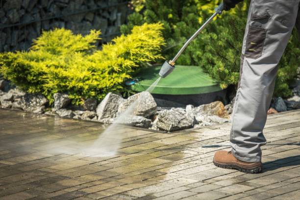 Best Sign and Awning Cleaning  in Colby, WI