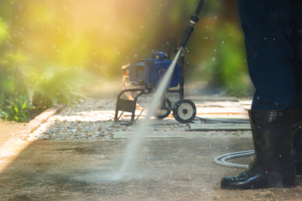 Animal Enclosure Cleaning in Colby, WI